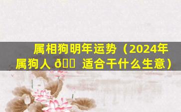 属相狗明年运势（2024年属狗人 🐠 适合干什么生意）